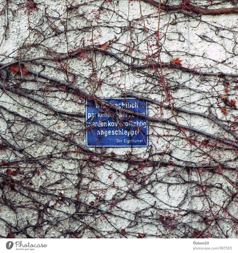 captive Concrete Sign Shield Aggression Curiosity Blue Brown Protection Wisdom Services Irritation Colour photo Subdued colour Exterior shot Deserted Day