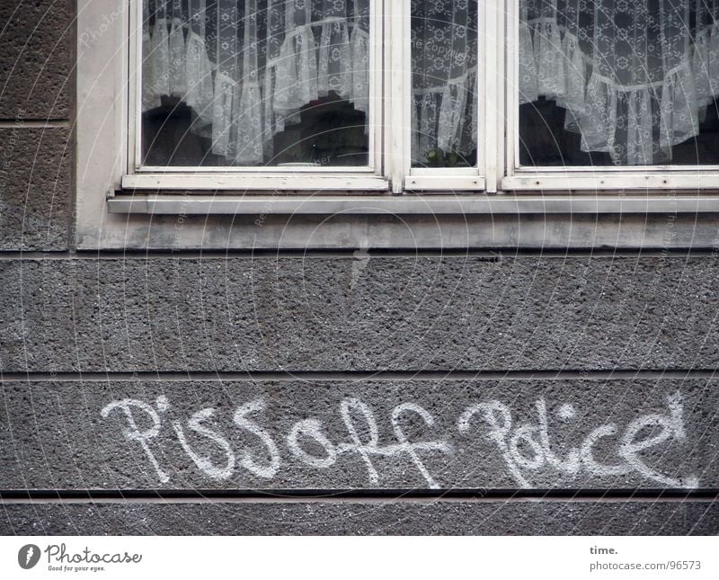 Roar in idyll House (Residential Structure) Services Police Force Art Window Stone Graffiti Gray White Orderliness Anger Grouchy Animosity Frustration