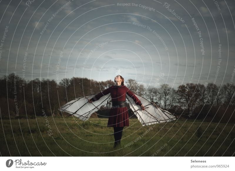 Dream of flying. Trip Adventure Far-off places Freedom Human being Feminine Woman Adults 1 Environment Nature Landscape Sky Clouds Horizon Meadow Field