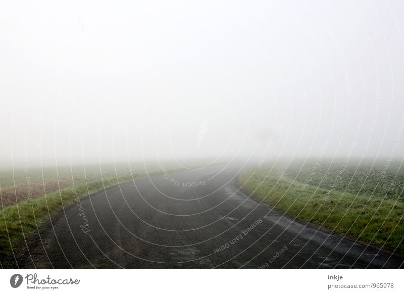 up to the tree and further out Environment Landscape Air Horizon Autumn Winter Fog Field Deserted Transport Lanes & trails Country road Curve Gloomy Loneliness