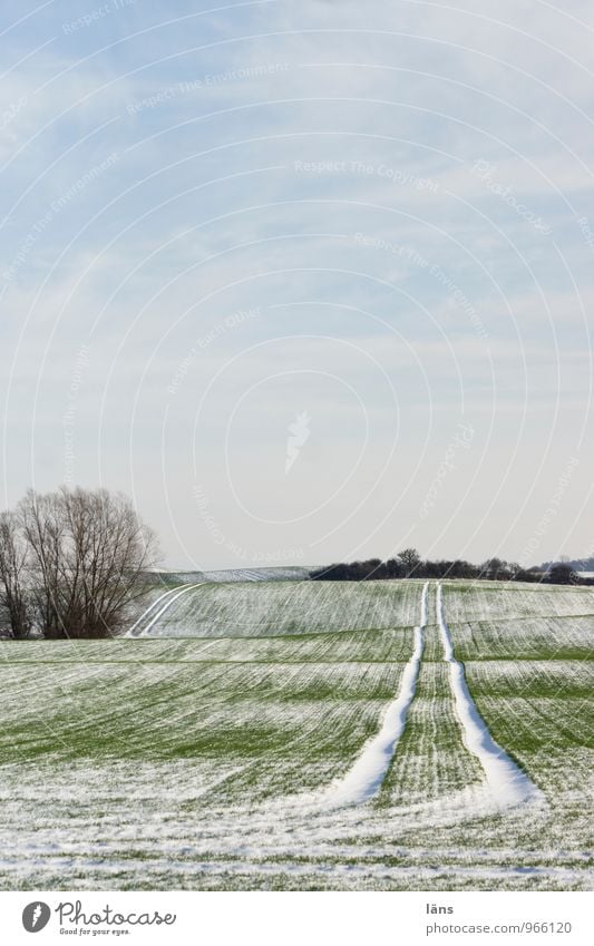 beginning of winter Winter Snow Tracks Agriculture Sky Far-off places