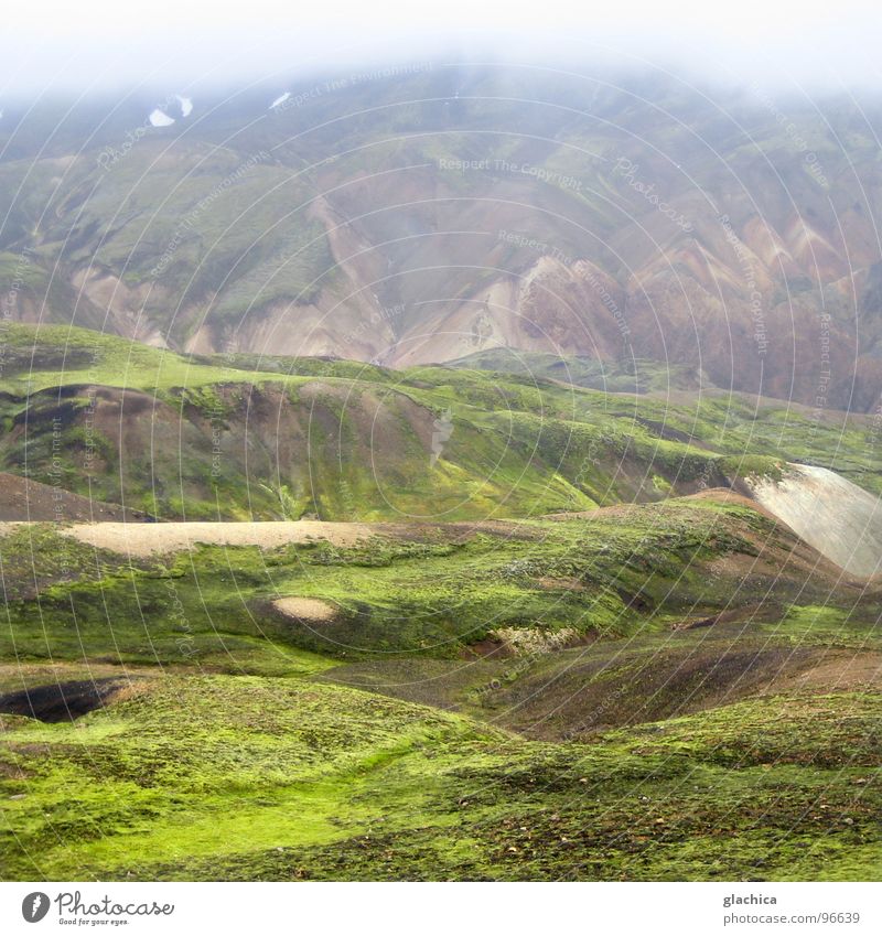 Landmann's Sparrow Hawk Iceland Europe Cold Rain Landmannalaugar Camping site Beautiful Badlands Wet Green Fog Brown Nature Landscape Mountain Sparse