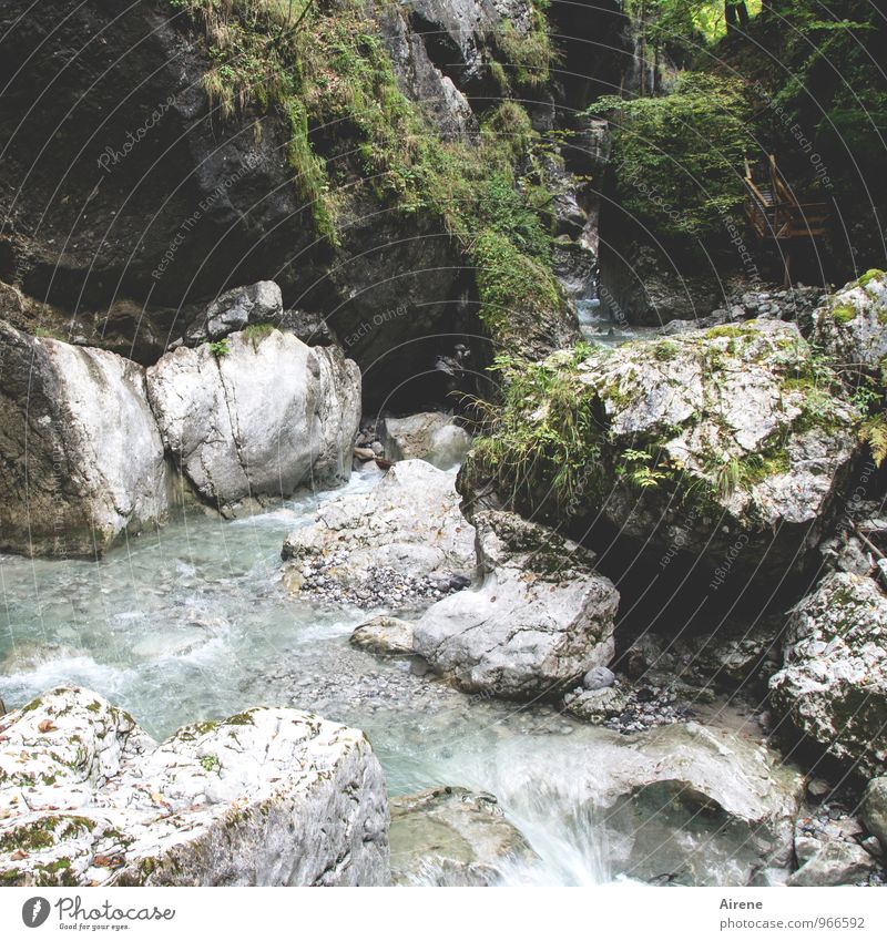 Bypass moisture Trip Adventure Mountain Hiking Landscape Elements Water Rock Alps Canyon Seisenberg Gorge Brook Mountain stream Lanes & trails Bridge Footbridge