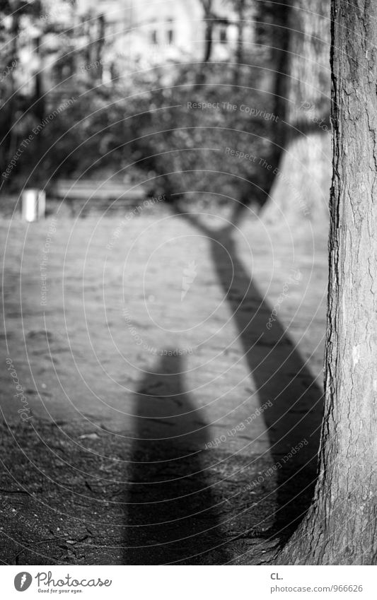 me again Leisure and hobbies Human being Adults 1 Environment Nature Beautiful weather Tree Garden Meadow Self portrait Tree trunk Shadow play Take a photo