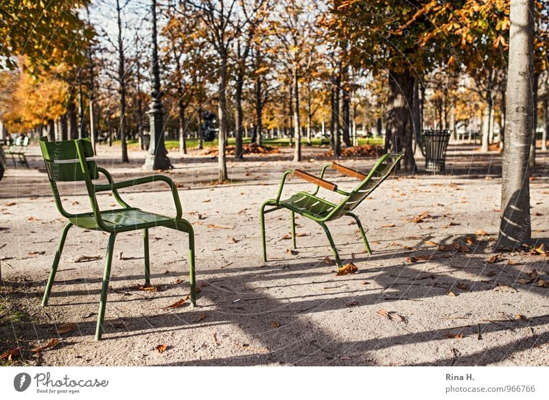 waiting position Tree Garden Park Paris Wait 2014 Tuileries Garden chair Autumn leaves Colour photo Exterior shot Deserted Light Shadow Shallow depth of field