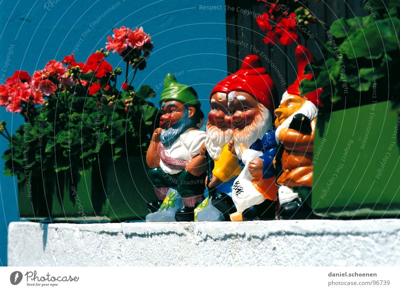 dwarf parade Dwarf Garden gnome Window Geranium Window board Summer Multicoloured Petit bourgeois Village Flower Window box Red Green Funny Germany Looking Blue