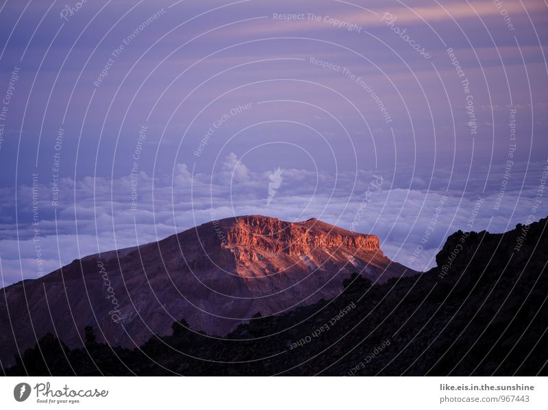 Sunset on the Teide Environment Nature Landscape Mountain Far-off places Clouds Tenerife Mountain range Peak Dusk Colour photo