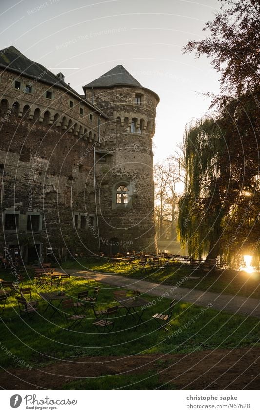 Thick Berta at sunset Trip Autumn Park Castle Manmade structures Building Architecture Old Historic Castle tower Café Romance Medieval times Fortress