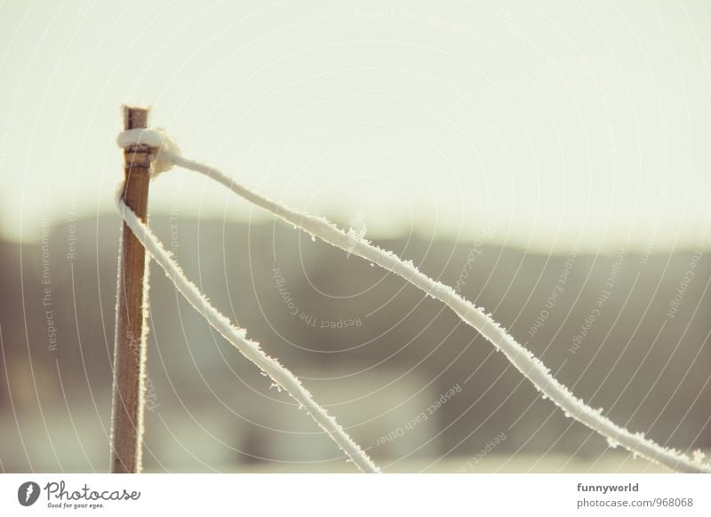 loosely tied Winter Climate Beautiful weather Ice Frost Wood Beginning Stress Fence Fence post Hoar frost Frostwork String Subdued colour Exterior shot Detail