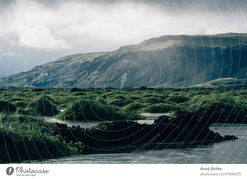 Iceland Summer vacation Environment Nature Landscape Plant Elements Earth Water Sky Clouds Bad weather Rain Bushes Meadow Mountain Volcano Brook River Gray