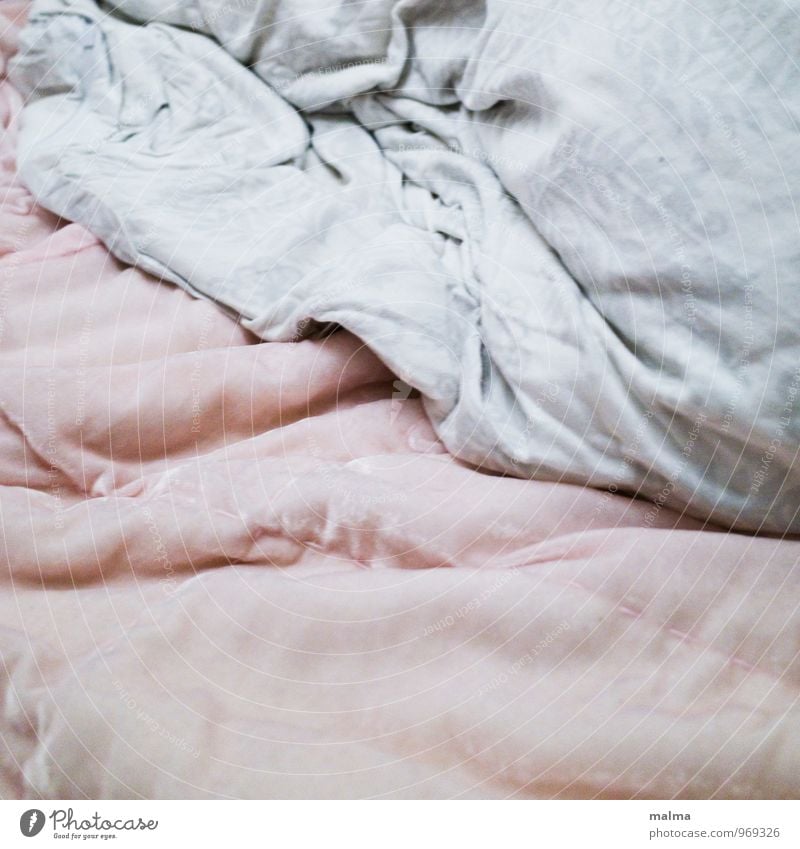 Gentle Decoration Blanket Velvet Pink Cozy Soft Warmth Cuddly Bedclothes Colour photo Interior shot Detail Copy Space top Copy Space bottom Artificial light