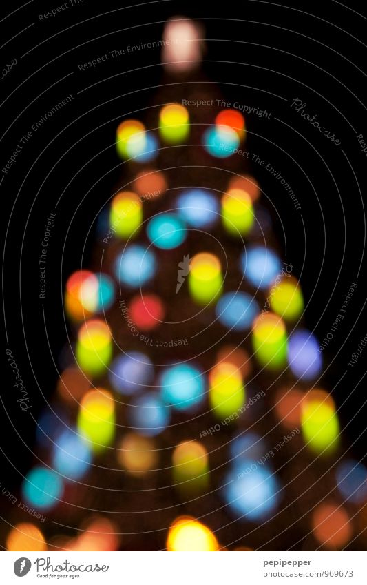 Christmas tree Feasts & Celebrations Christmas & Advent Winter Tree Disco ball Sign Ornament Sphere Illuminate Multicoloured Exterior shot Experimental Deserted