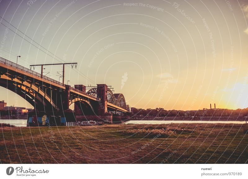 southern bridge Tourism Logistics Technology Sky Cloudless sky Sun Summer Autumn Beautiful weather Grass Meadow River bank Rhine Cologne Town Bridge