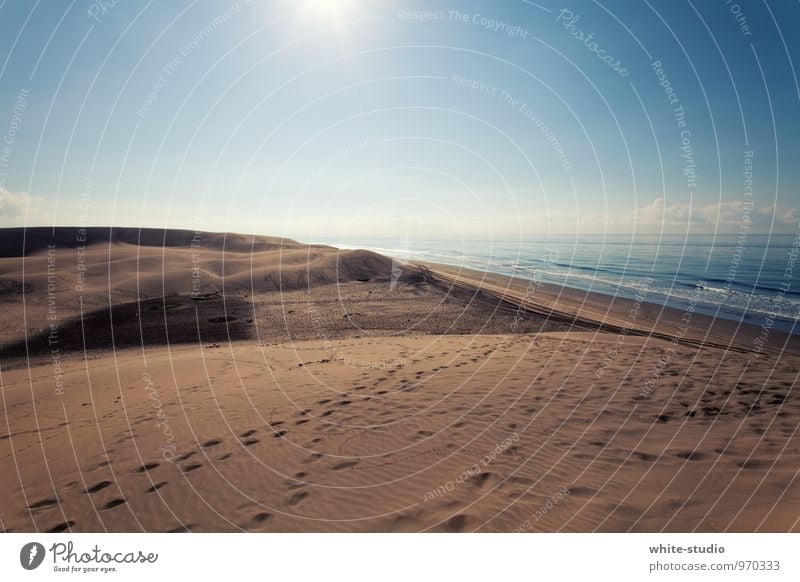 Water at last! Environment Nature Waves Beach Happiness Gigantic Happy Infinity Sand Sandy beach Tracks Tracking Footprint Reaction Summer vacation Loneliness