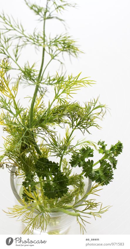 Parsley and dill Food Herbs and spices Nutrition Eating Organic produce Vegetarian diet Fasting Glass Lifestyle Healthy Eating Wellness Well-being Senses