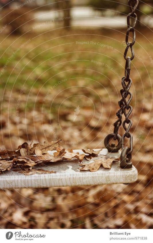 Swing in autumn mood Nature Autumn Wind Leaf Garden Park Meadow Toys Sadness Yellow Emotions Moody To console Grief Pain Longing Stress Cold Nostalgia