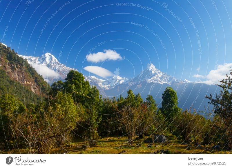 Anna and Machha Nature Landscape Plant Air Sky Clouds Autumn Tree Foliage plant Mountain Snowcapped peak Exceptional Large Blue White Machhapuchchhre Annapurna