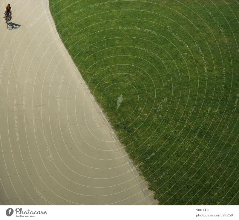 SUNDAY DRIVER Sunlight Summer Copy Space Environmental protection Mobility Driving Bird's-eye view Individual Green space Street Lawn Cycling tour Cycle path