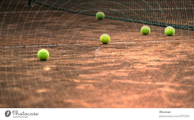 tennis Tennis court Green Places Sporting grounds Action Sports club Playing field Green space Cup (trophy) Tennis ball Structures and shapes Net Sporting event