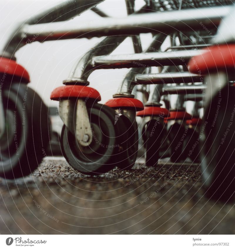 bikes Shopping Trolley Gloomy Loneliness Rain Wet Boredom Wheel Metal Drops of water Floor covering