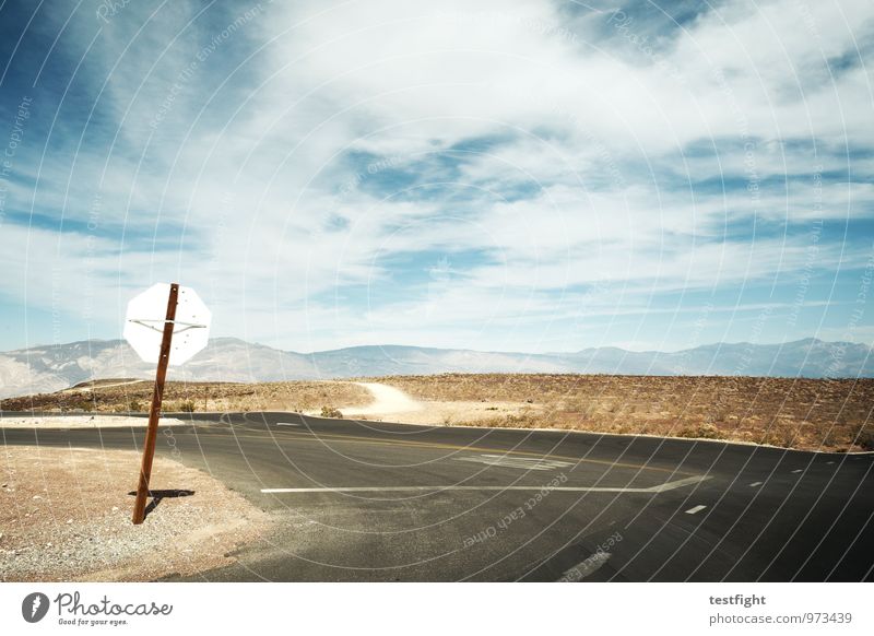 slanting Environment Nature Landscape Plant Animal Earth Sand Sun Summer Warmth Drought Desert Death valley Nationalpark Street Hot Defenseless Road sign