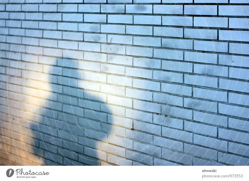 shadow Human being 1 House (Residential Structure) Wall (barrier) Wall (building) Facade Town Hope Fear Identity Anonymous Colour photo Exterior shot Pattern