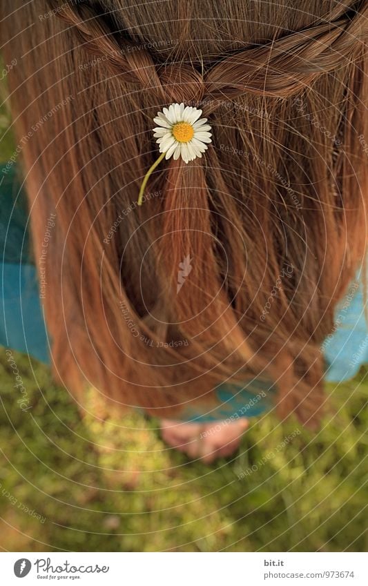 Be Sure to Wear Some Flowers in Your Hair Beautiful Personal hygiene Wellness Harmonious Relaxation Meditation Leisure and hobbies Playing Vacation & Travel