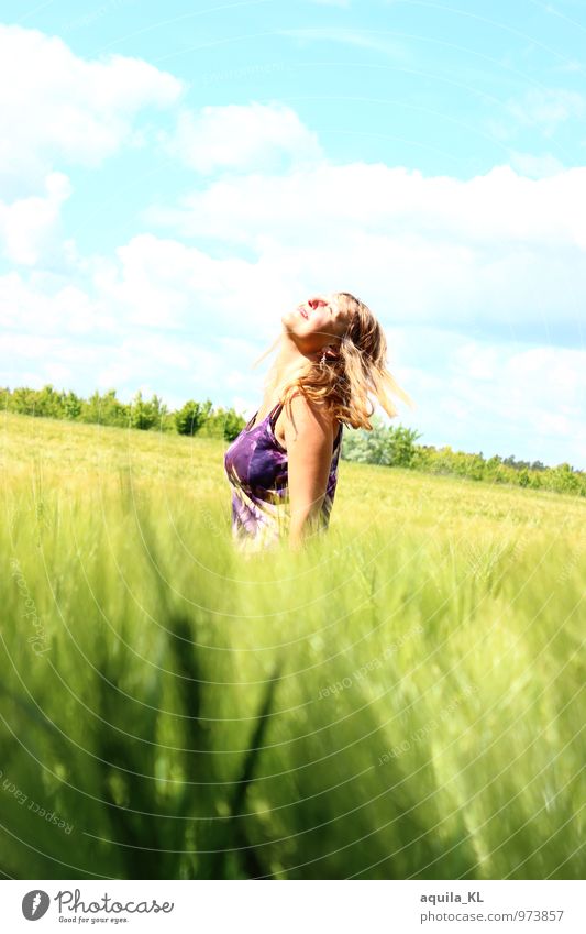 Ringing in wheat Feminine Young woman Youth (Young adults) 1 Human being 18 - 30 years Adults Sky Bushes Meadow Field Breathe Blossoming To enjoy Illuminate