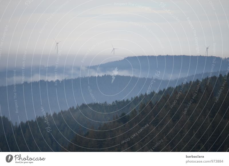 Black Forest Height Wind energy plant Environment Nature Landscape Sky Autumn Winter Fog Hill Mountain Free Bright Blue Moody Relaxation Horizon Calm