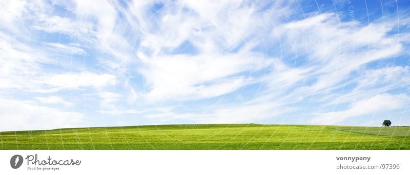 Organic breakfast II Clouds Meadow Infinity Tree Green White Loneliness Far-off places Horizon Summer Spring Sky Blue Organic produce Nature bath rappenau