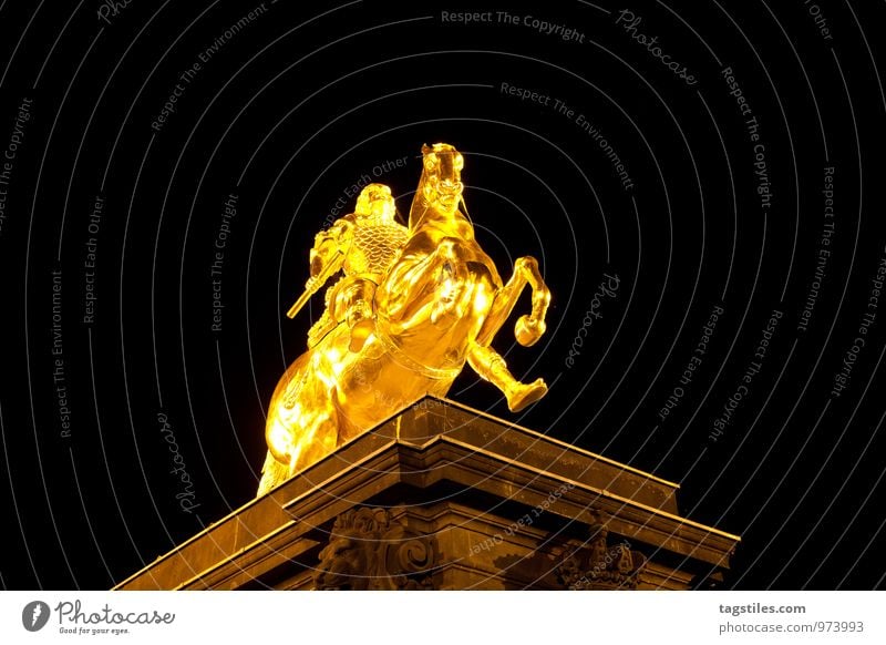 Golden Rider Dresden Saxony Germany golden riders Horse Monument Night Evening Dark Vacation & Travel Travel photography Idyll Freedom Card Tourism Illuminate