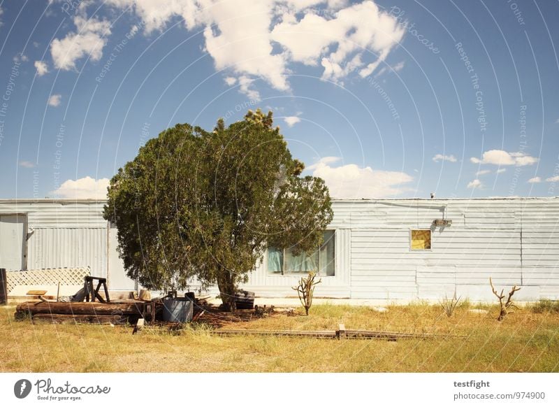 tree Environment Nature Sky Clouds Sun Sunlight Beautiful weather Tree House (Residential Structure) Detached house Hut Manmade structures Building Architecture