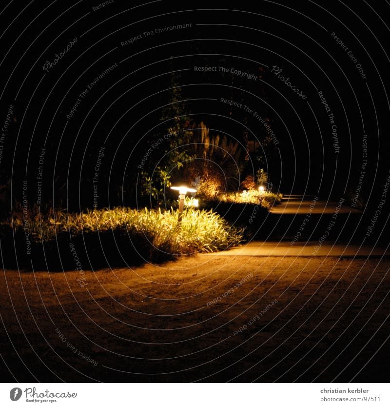 the parker Palm Springs Night Park Long exposure Dark Gravel path USA Garden