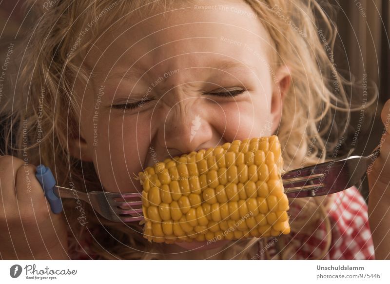 corn season Food Vegetable Maize Corn cob Nutrition Eating Organic produce Vegetarian diet Fork Lifestyle Parenting Kindergarten Human being Child Girl Head