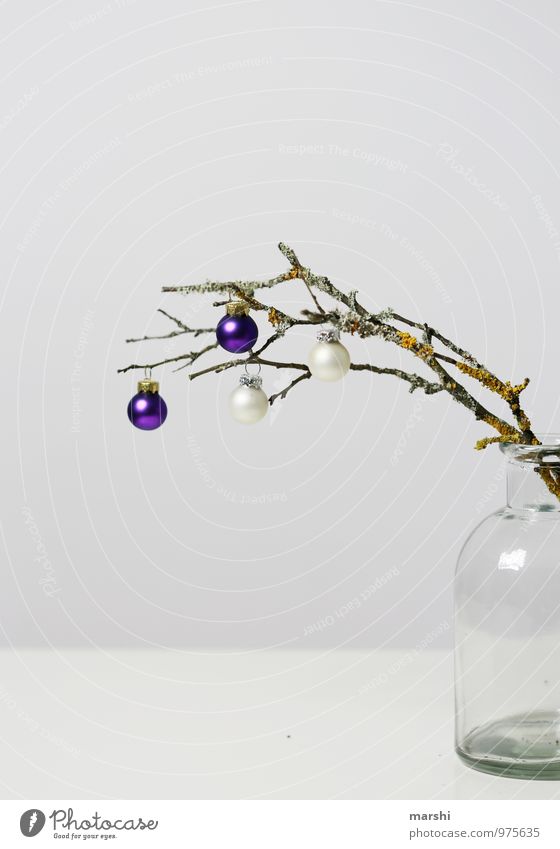 autumnal winter Sign Emotions Moody Christmas & Advent Branch Glitter Ball Christmas tree Decoration Vase Bright White Colour photo Interior shot Studio shot