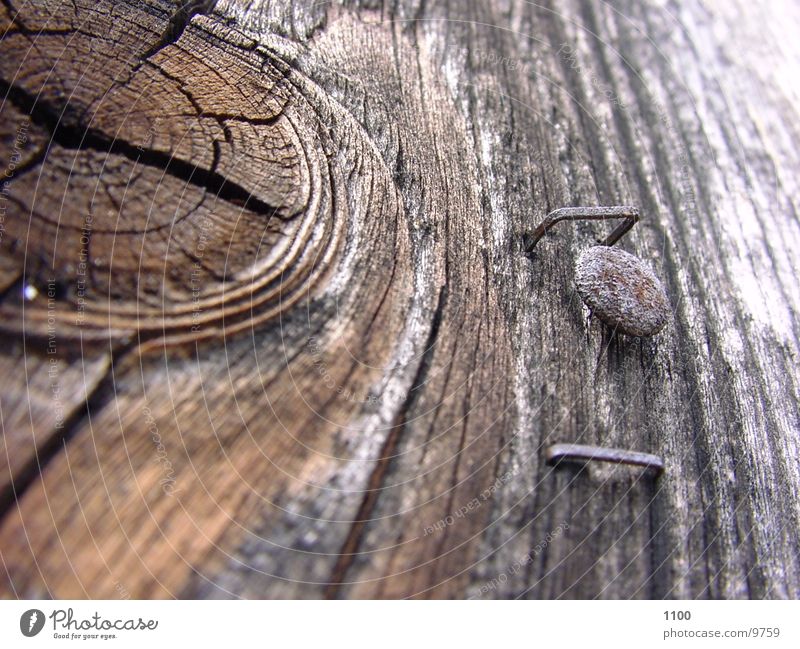 wood Wood Nail Brittle Photographic technology Macro (Extreme close-up) Wood grain Old rice purposes Derelict