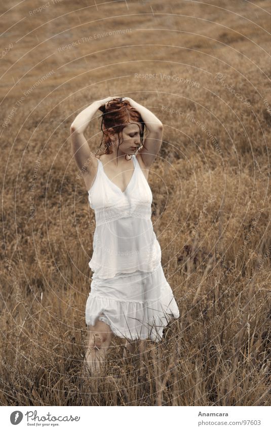 wash away Portrait photograph Grass Dress Field Woman Meadow To enjoy Dream Wet Damp Brown Summer Rain Green Beautiful Thunder and lightning Sepia Nature