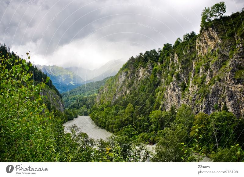 On the way to Lake Garda Nature Landscape Sky Clouds Storm clouds Summer Climate Bad weather Tree Bushes Forest Alps Mountain River Dark Fresh Cold