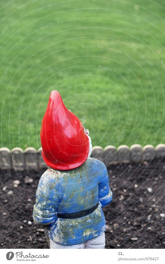 garden gnome Living or residing Flat (apartment) Environment Earth Grass Garden Meadow Decoration Fence Garden gnome Orderliness Cleanliness Curiosity Boredom