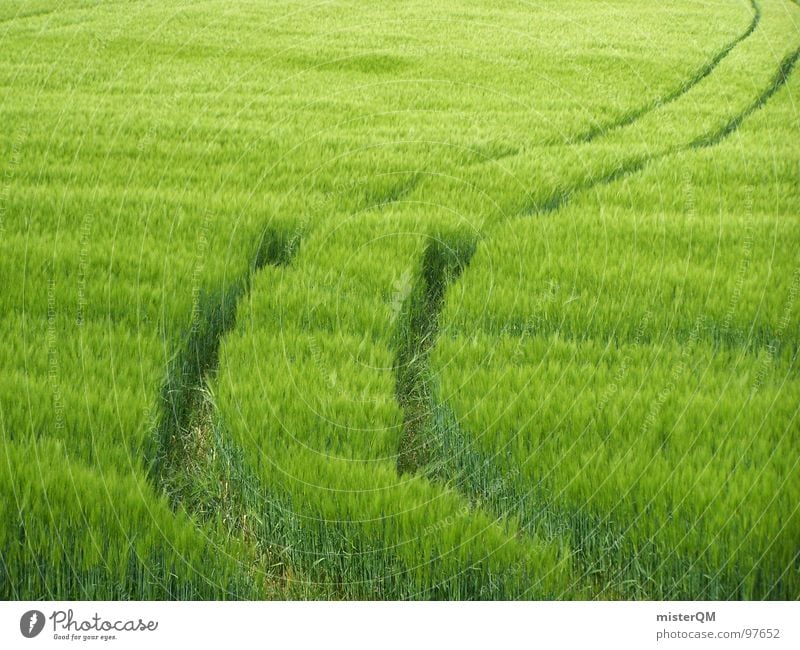 field marks Field Nature Green Exit route Lanes & trails Doomed To go for a walk Footpath Grain Sowing Whereto Tracks Wind chime Stripe Pattern Skid marks