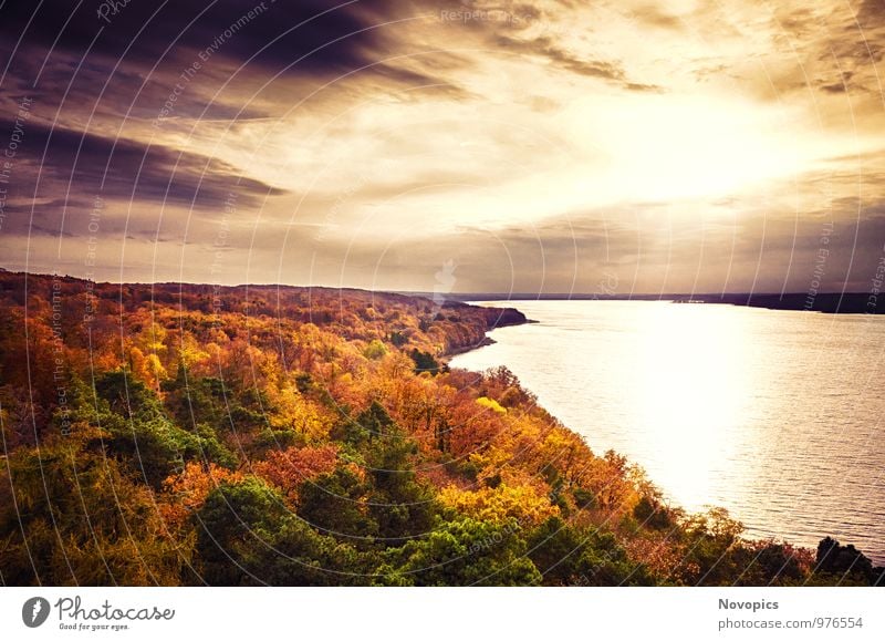 autumn landscape Sun Nature Landscape Water Sky Clouds Autumn Tree Leaf Forest Lake Yellow Green Violet Red Climate Environment Autumnal Colouring tainted