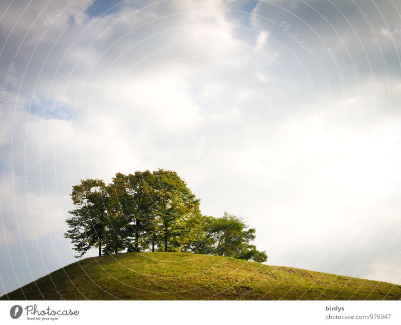 quiet place Nature Sky Clouds Horizon Summer Tree Meadow Hill Esthetic Simple Above Positive Calm Far-off places Island Colour photo Exterior shot Deserted