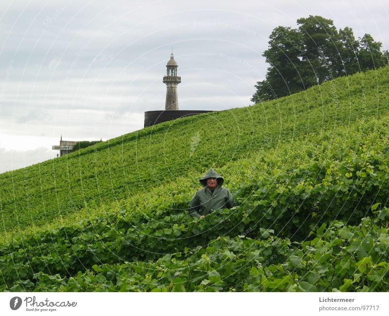 champagne maker France Champagne Lighthouse Winegrower Vine Verzenay Rain