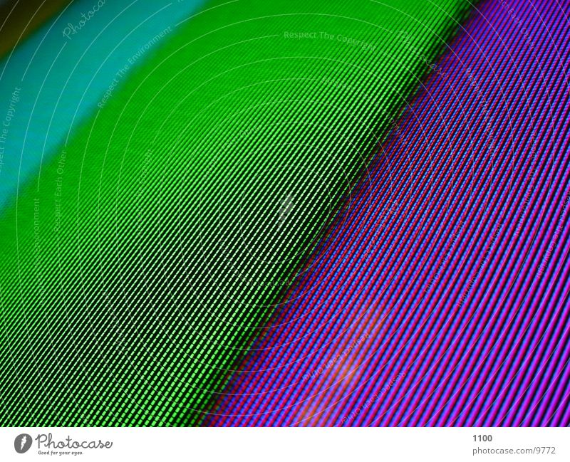 screen Screen Macro (Extreme close-up) Electrical equipment Technology