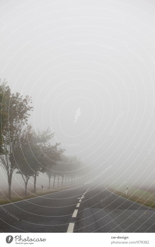 autumn mood Environment Nature Landscape Air Clouds Spring Summer Autumn Bad weather Fog Tree Meadow Field Hill Village Small Town Outskirts Deserted