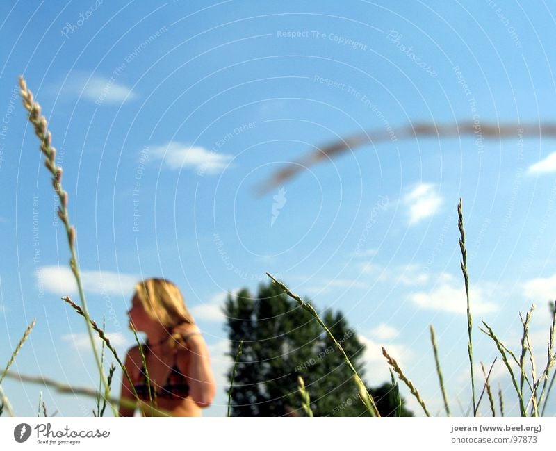 You're being watched... Unobserved Summer Sunbathing Bikini Swimsuit Woman Blonde Moral Observe monitored Relaxation Voyeurism Blue sky