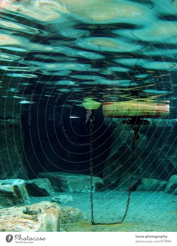 Under the sea II Navigation Underwater photo Buoy Watercraft Ocean Lake Navy Navigation mark Keg Body of water Navigable water Lighthouse Float in the water