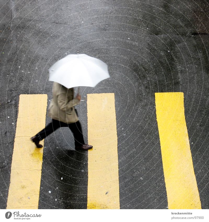 1, 2 or 3 Zebra crossing Pedestrian Yellow Asphalt Transport Town Going Traverse Concreted Tar Stripe Umbrella Storm Wet Rain Thunder and lightning Shadow