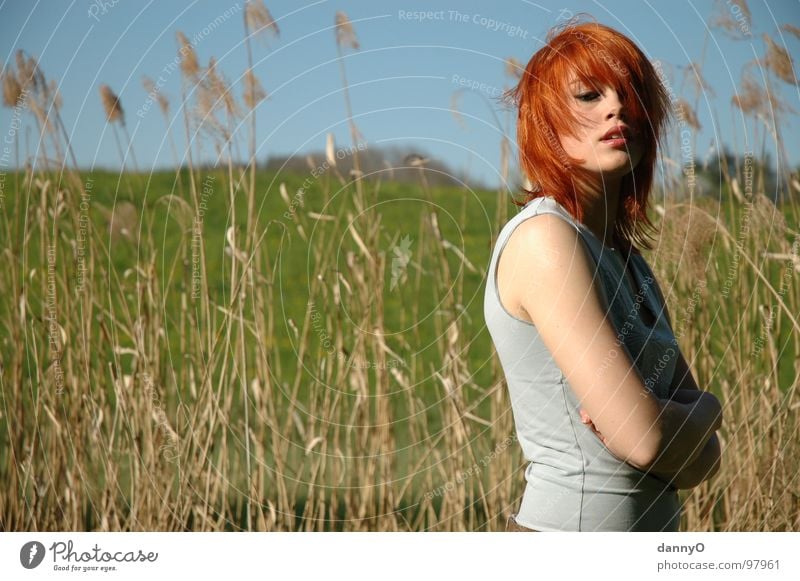 the summer is coming Red Field Woman Hill Common Reed Spring Playing Beautiful River Blue