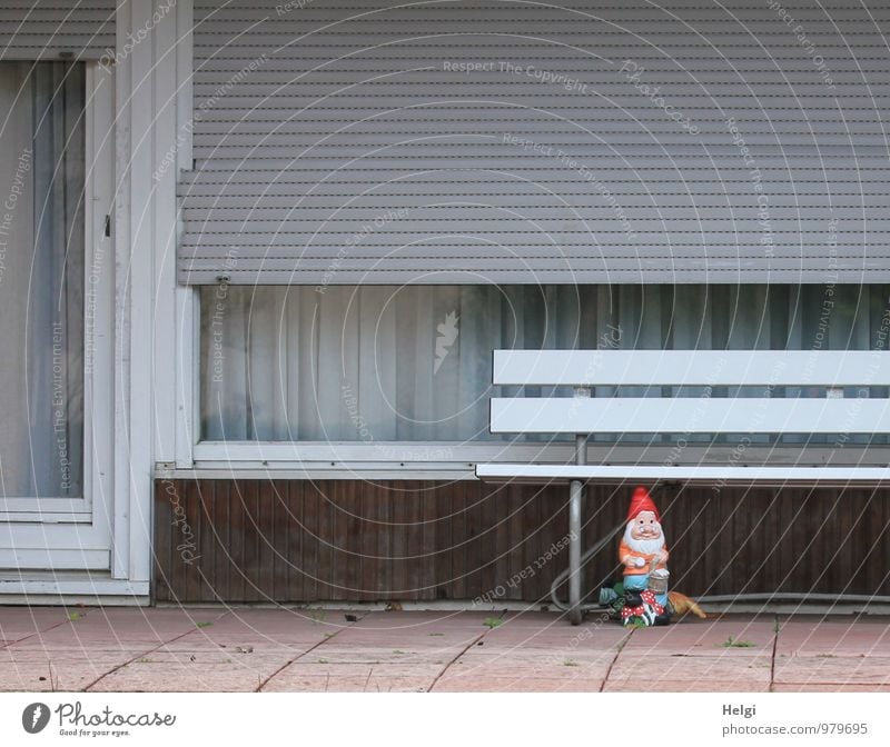 lone watcher... Village House (Residential Structure) Detached house Building Terrace Window Door Decoration Garden gnome Bench Venetian blinds Curtain Plastic